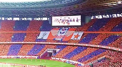 ルヴァンカップ🎉決勝⚽負けたけど最高の感動！